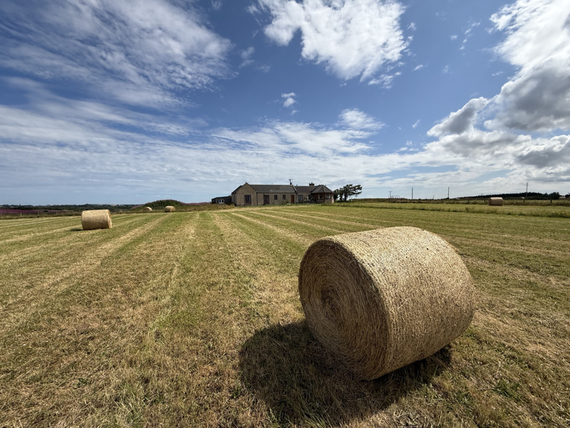 Monlettie Croft, Turriff
