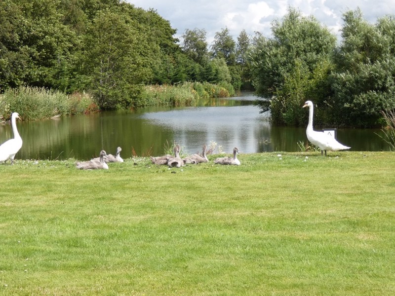 The Holding, Leadketty Loch Manor, Dunning,   PH2 0QN, PERTH