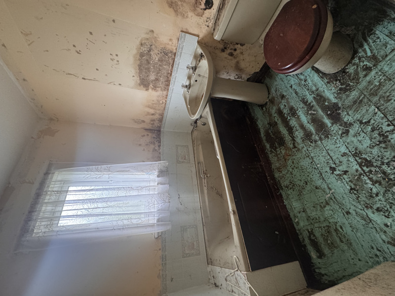 Jones Green, LIVINGSTON, EH54 8QB