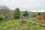Glenbrae Road, GREENOCK, PA15